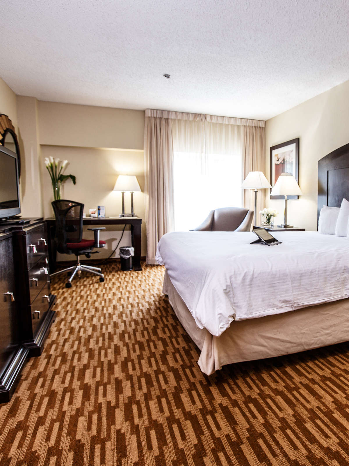 Hotel Hotel Capstone photo 3