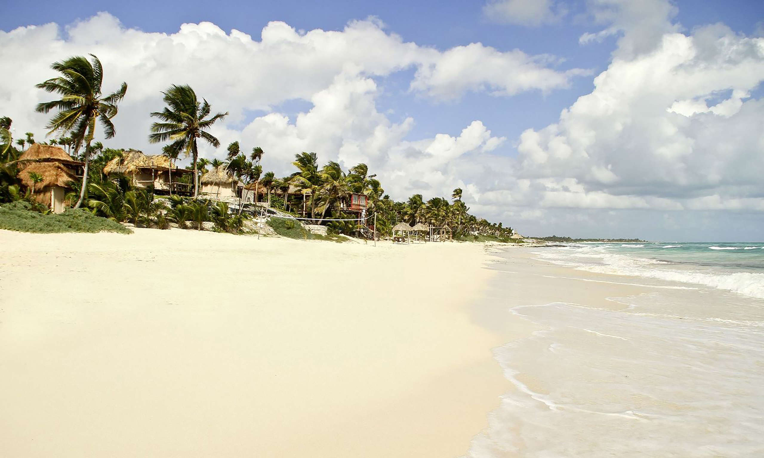 Hotel Papaya Playa Project photo 1