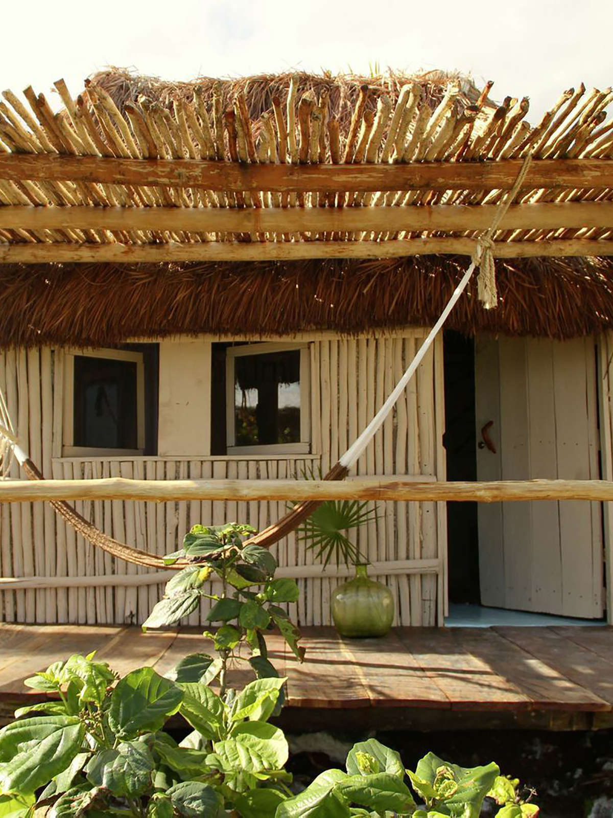 Hotel Papaya Playa Project photo 4