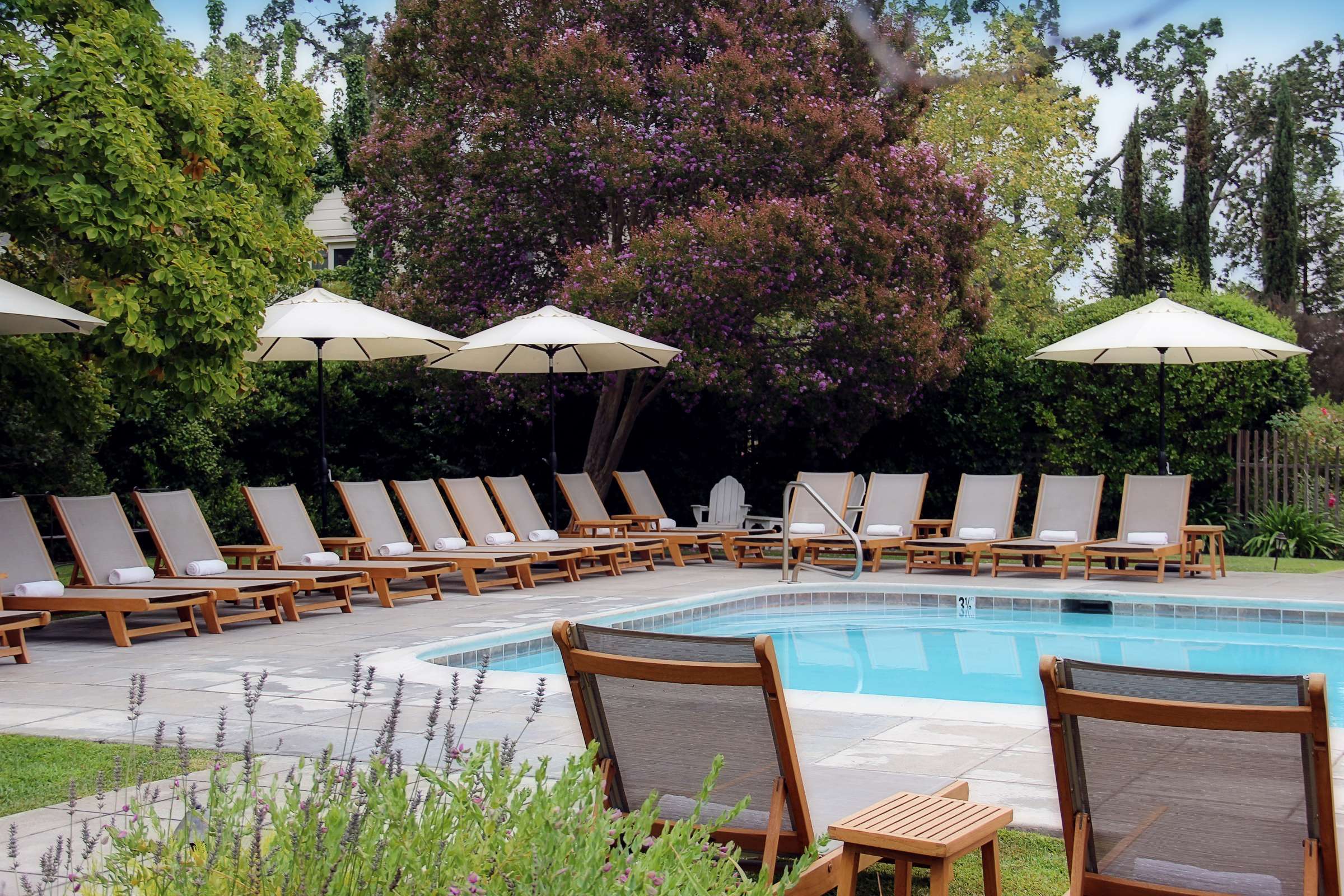 Hotel MacArthur Place photo 1