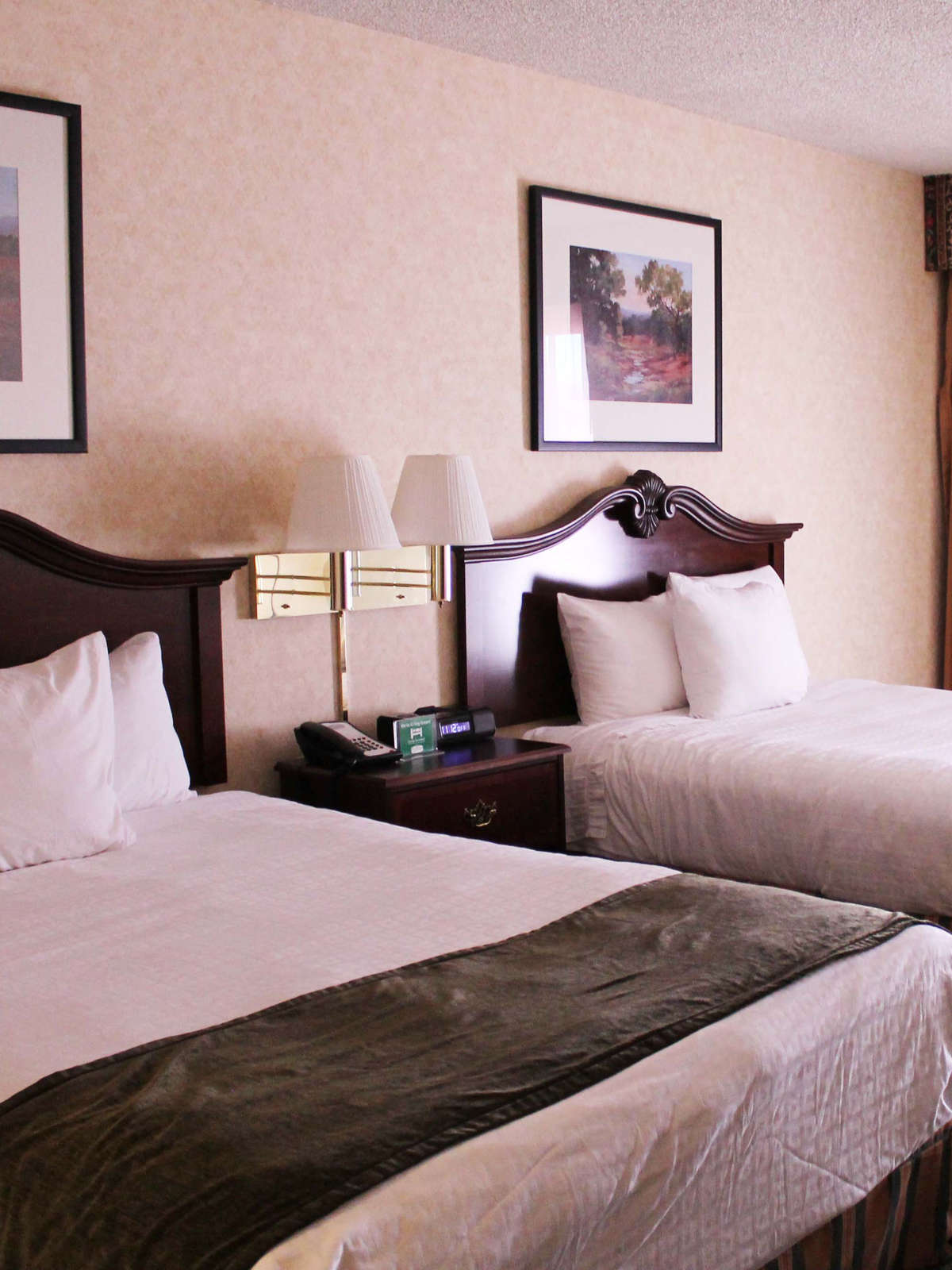 Hotel Crystal Inn Hotel & Suites - St. George photo 4