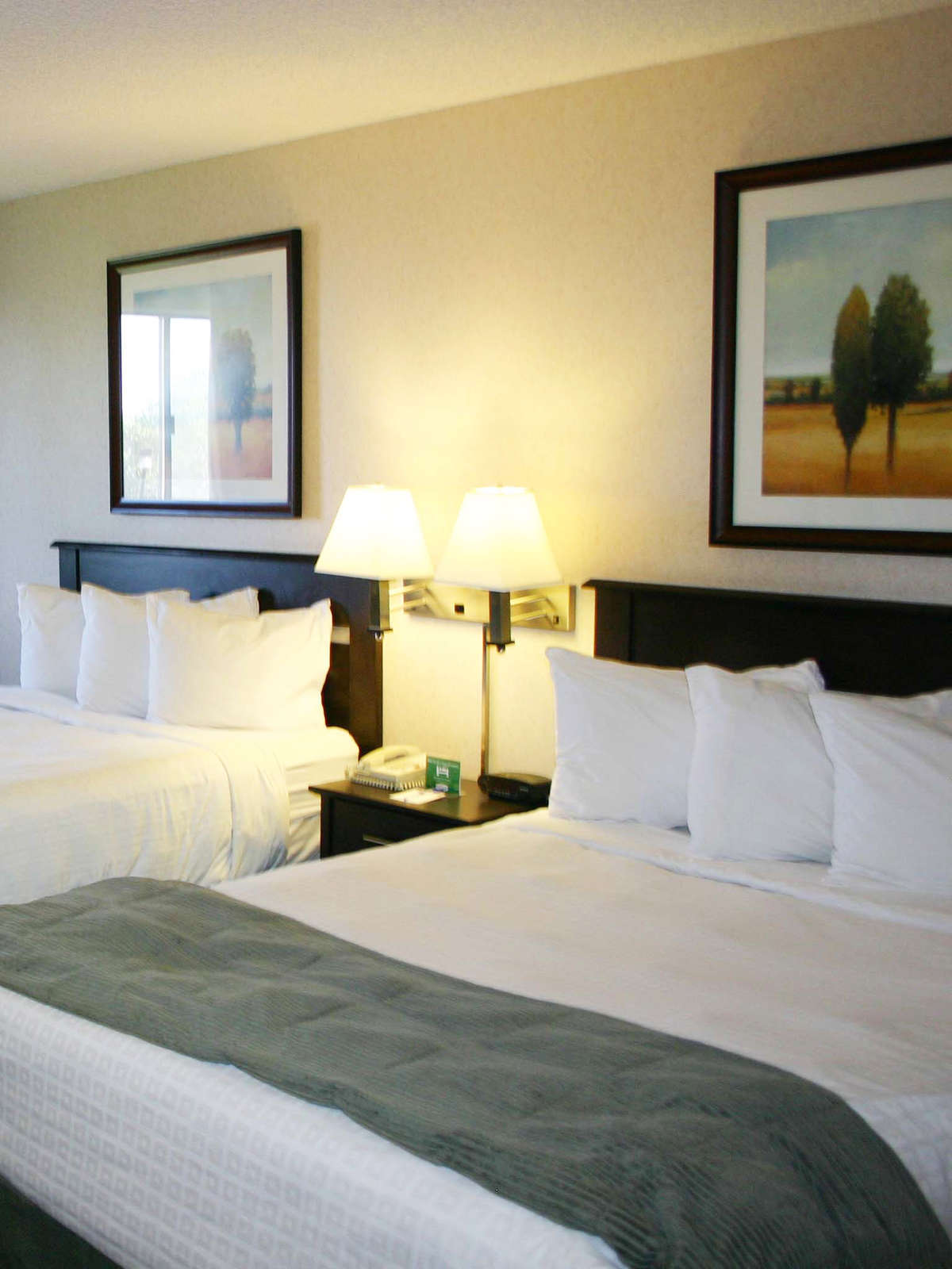 Hotel Crystal Inn Hotel & Suites Cedar City photo 2