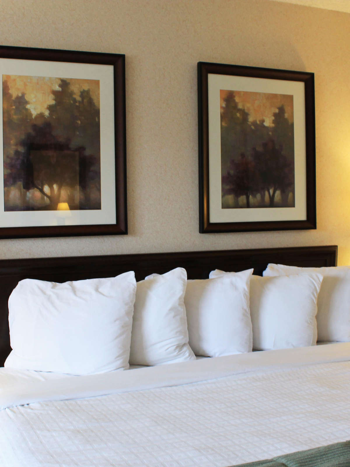 Hotel Crystal Inn Hotel & Suites Cedar City photo 4