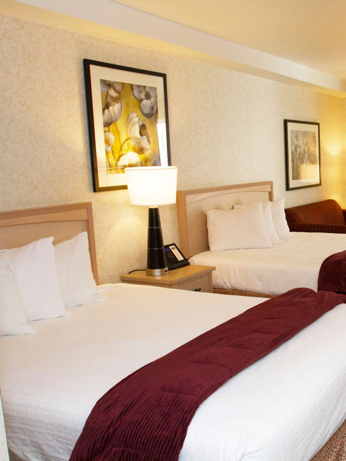 Hotel Crystal Inn Hotel & Suites photo 2