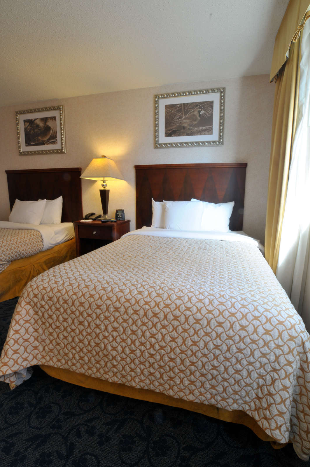 Hotel Embassy Suites RiverCenter photo 4