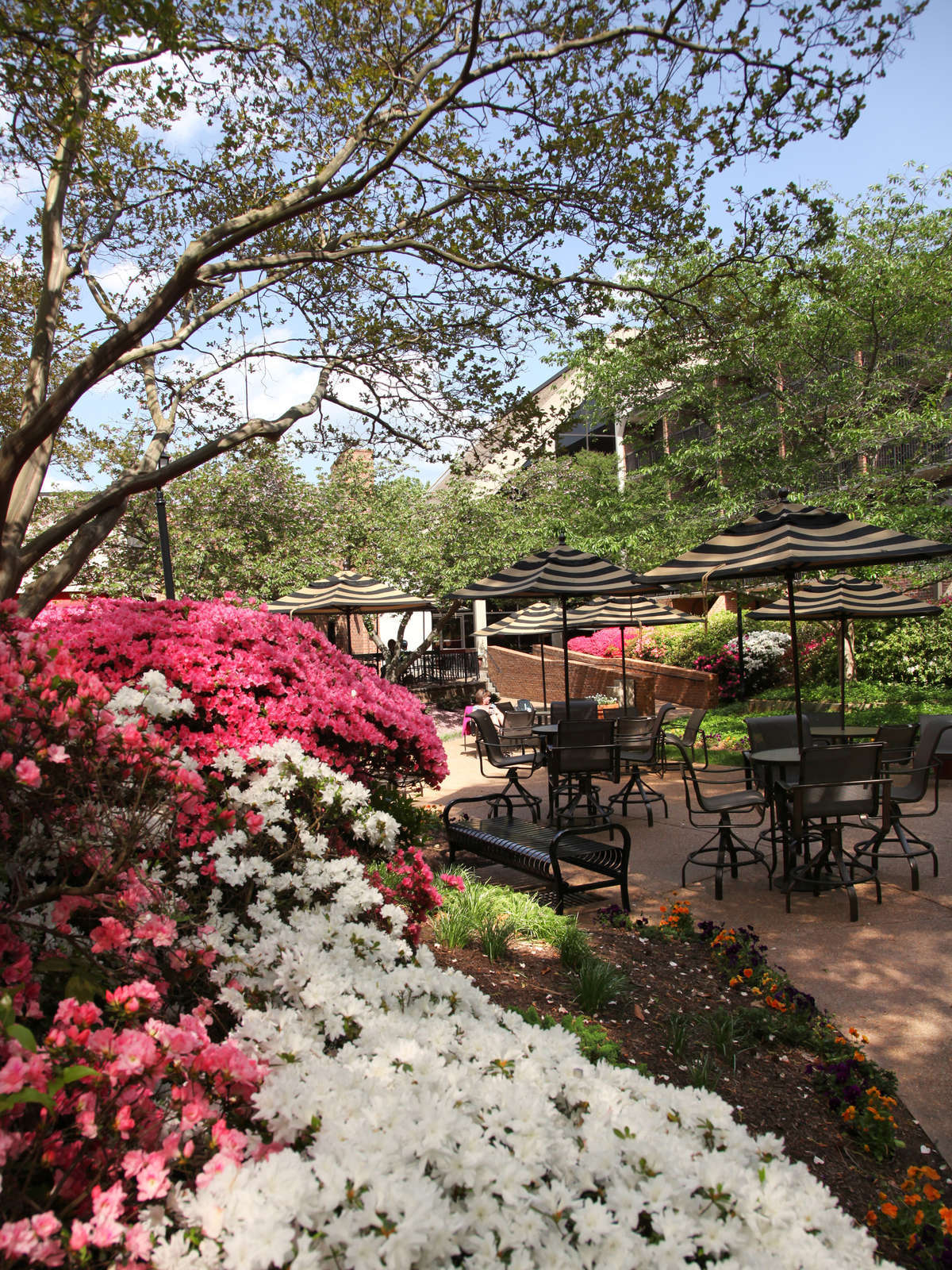 Hotel Fort Magruder Hotel photo 3