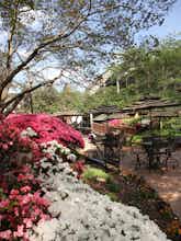Hotel Fort Magruder Hotel photo 3