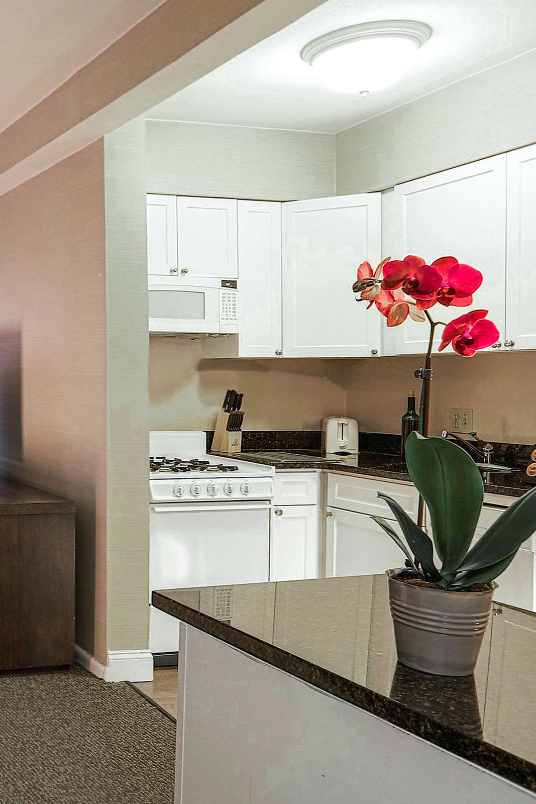 Hotel The Windsor Suites photo 4