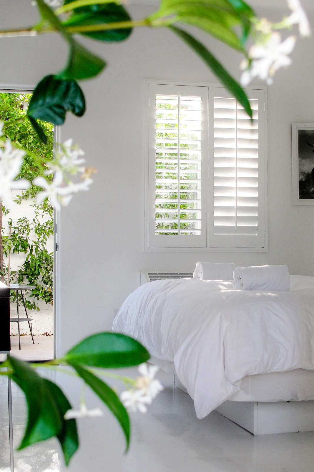 Hotel Alcazar Palm Springs photo 4