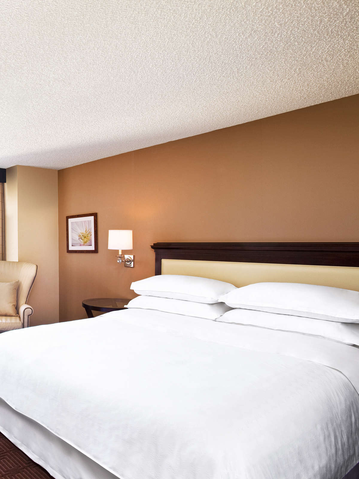 Hotel &Sheraton Austin Hotel&&& photo 4