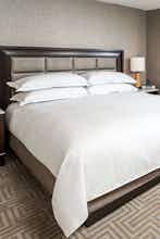 Hotel Hilton Tampa Downtown photo 2