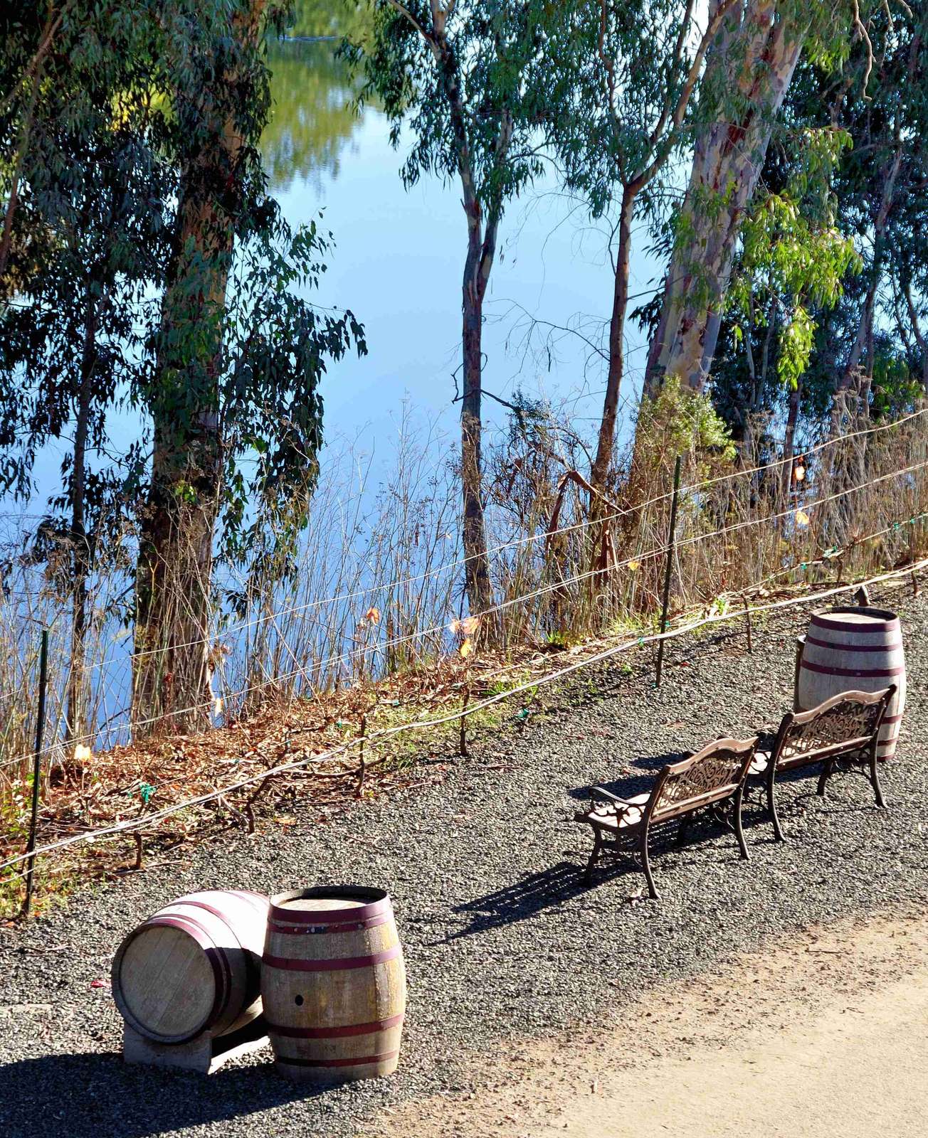 Hotel River Terrace Inn, A Noble House Hotel photo 4