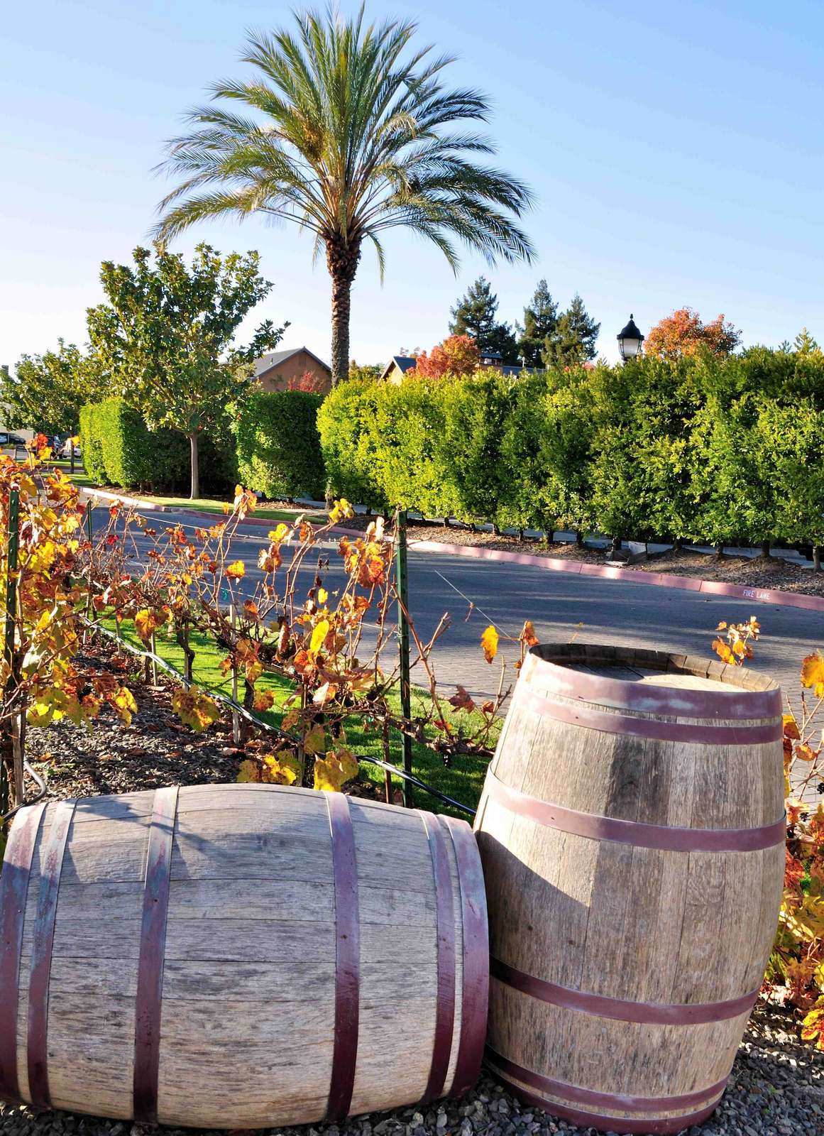 Hotel River Terrace Inn, A Noble House Hotel photo 3