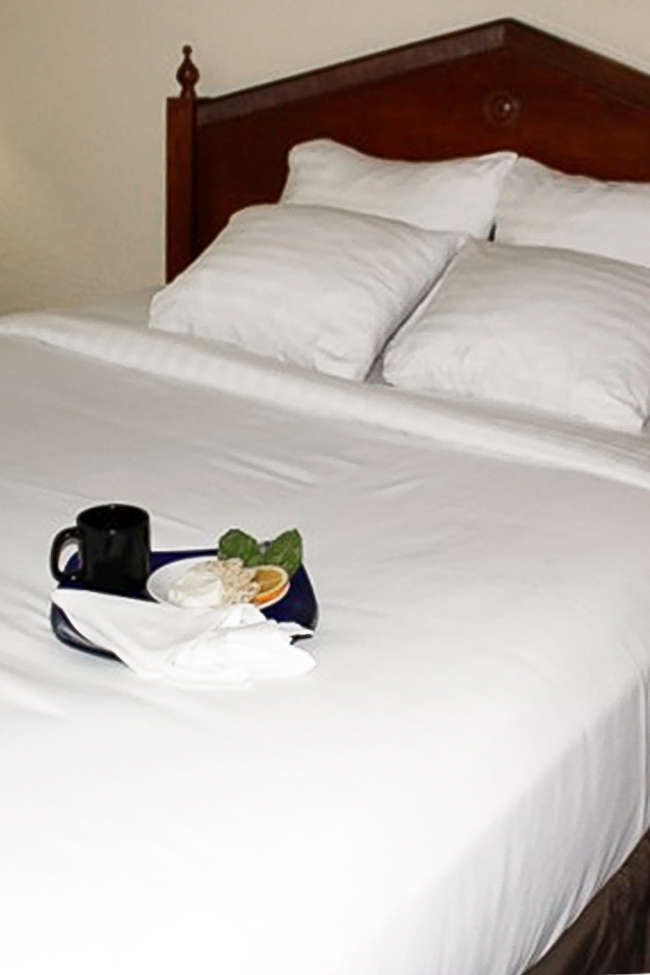 Hotel Ramada Plaza Atlanta Capitol Park Hotel photo 2