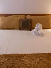 Hotel Mountain Retreat Resort photo 3