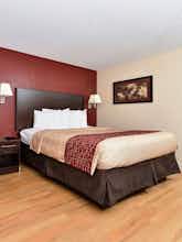 Hotel Red Roof Inn Orlando South photo 3