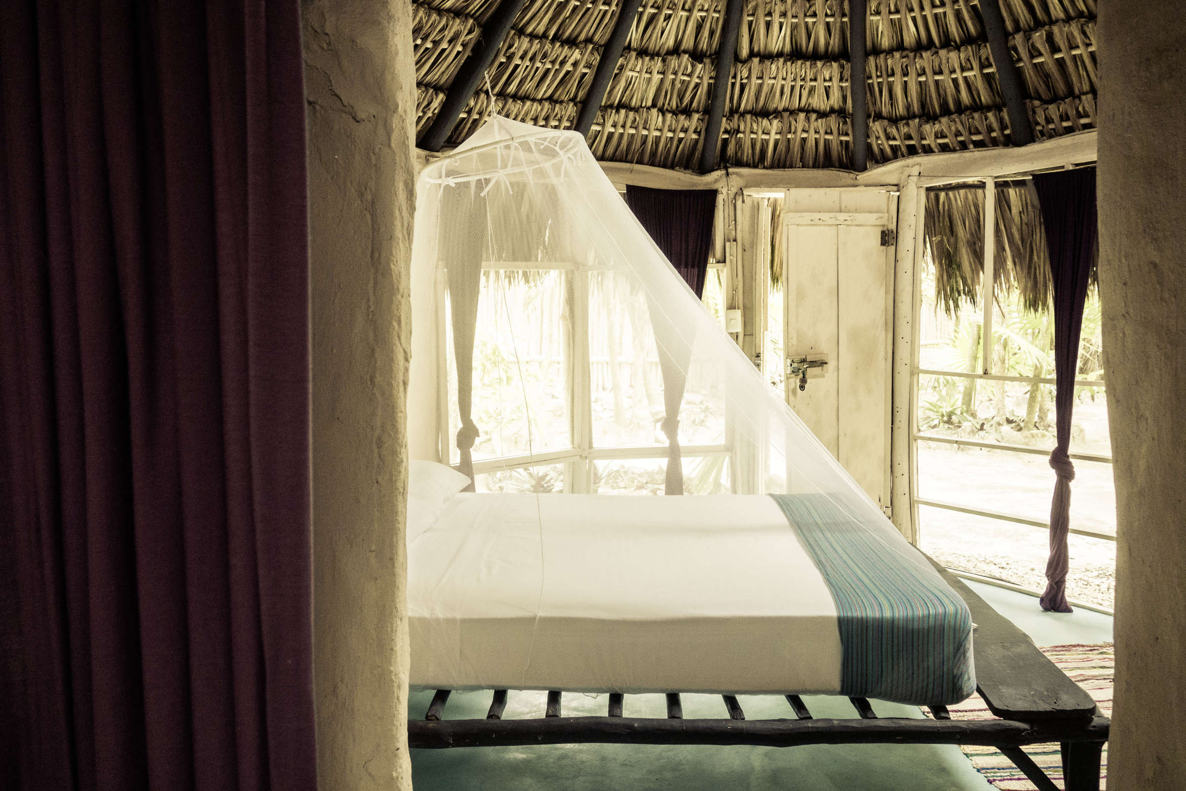 Hotel Papaya Playa Project photo 3