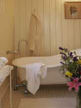 Hotel MacCallum House photo 5