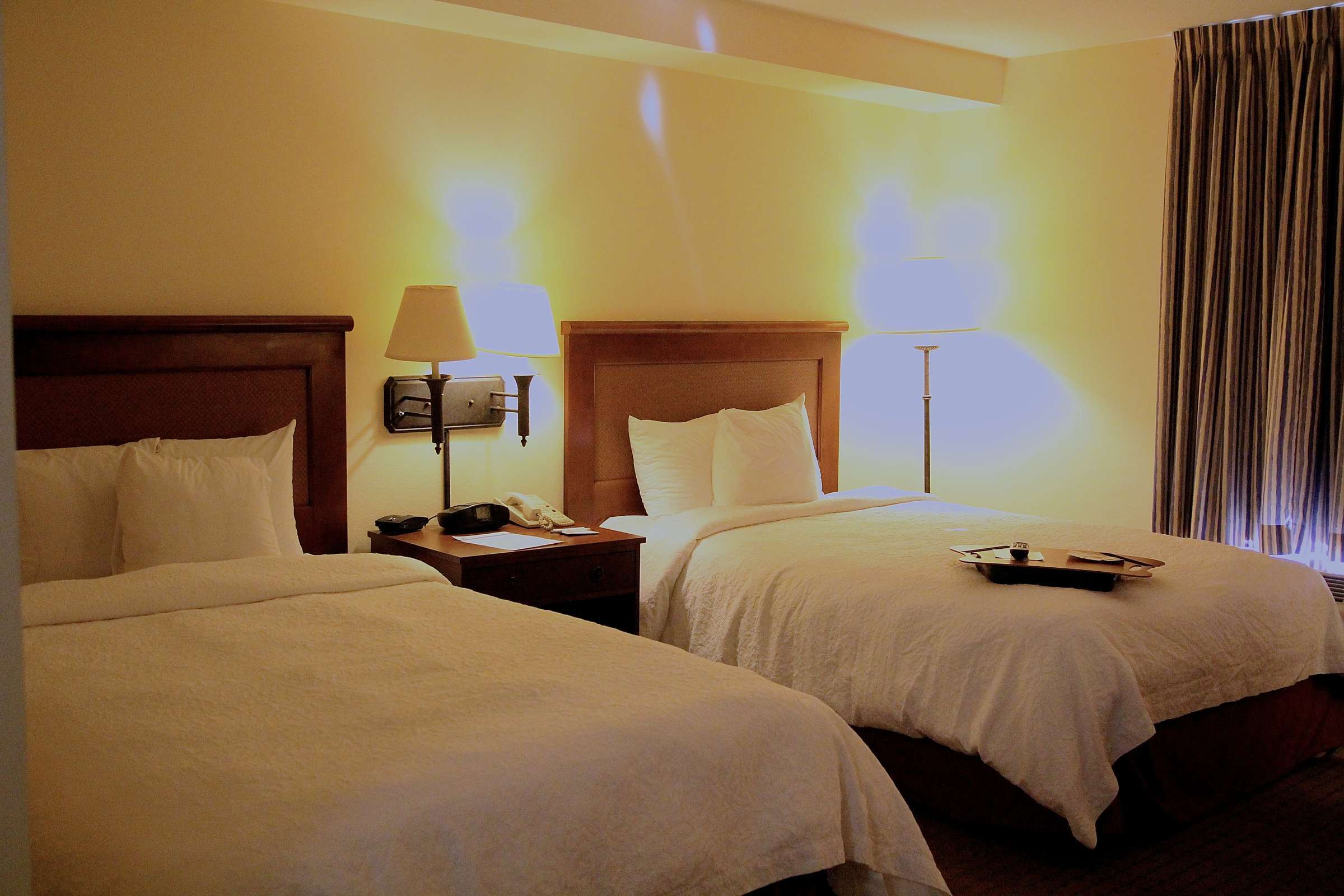 Hotel Hampton Inn & Suites Austin Airport photo 3