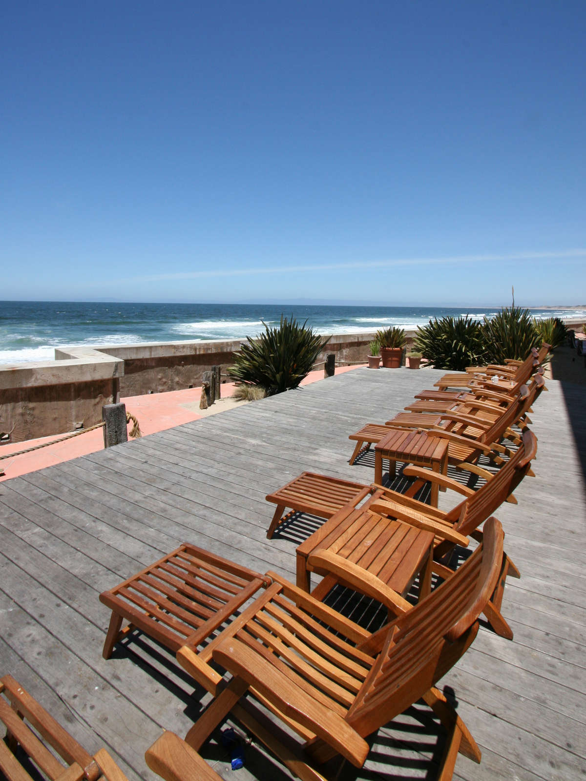 Unscripted Monterey Bay