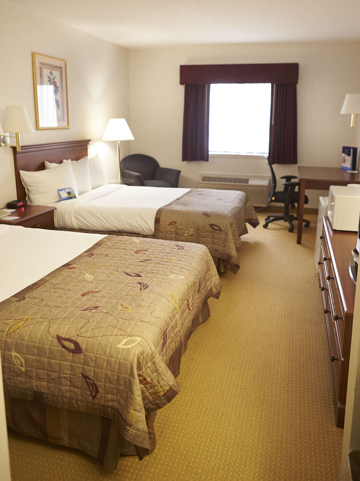 Hotel Baymont Inn & Suites Marshfield photo 3