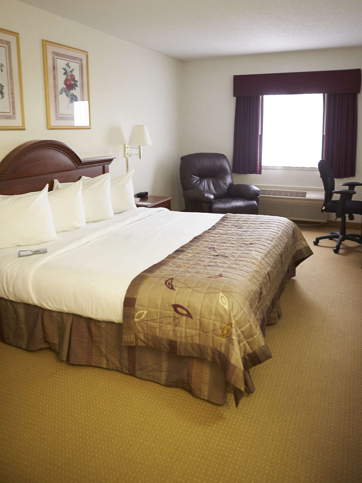 Hotel Baymont Inn & Suites Marshfield photo 2