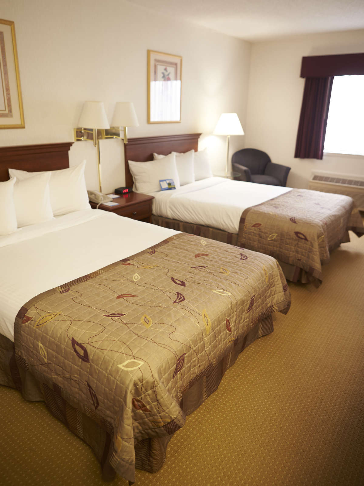 Hotel Baymont Inn & Suites Marshfield photo 1