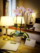 Hotel Hotel Continental photo 5