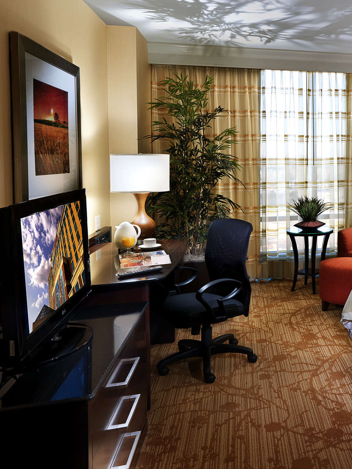 Hotel Bloomington Normal Marriott Hotel and Conference Center photo 3