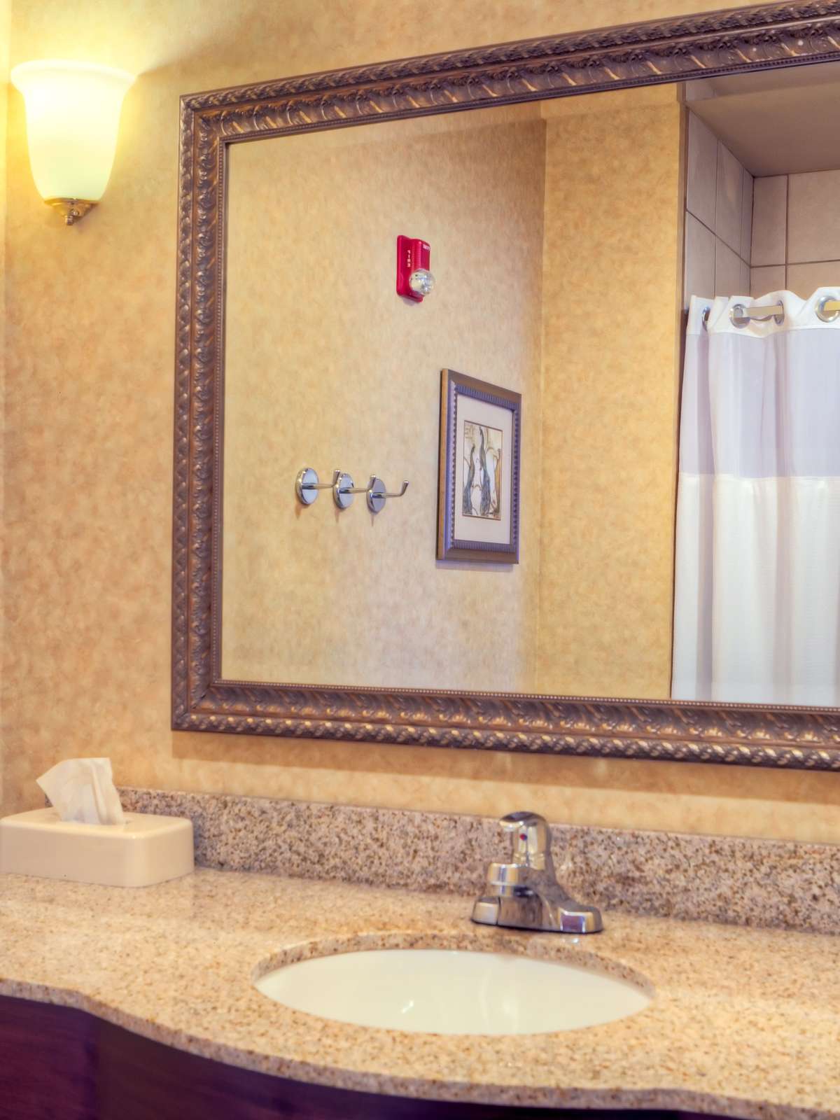 Hotel Staybridge Suites Laredo International Airport photo 2