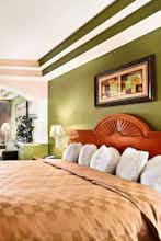 Hotel Days Inn and Suites Houston Hobby Airport photo 3