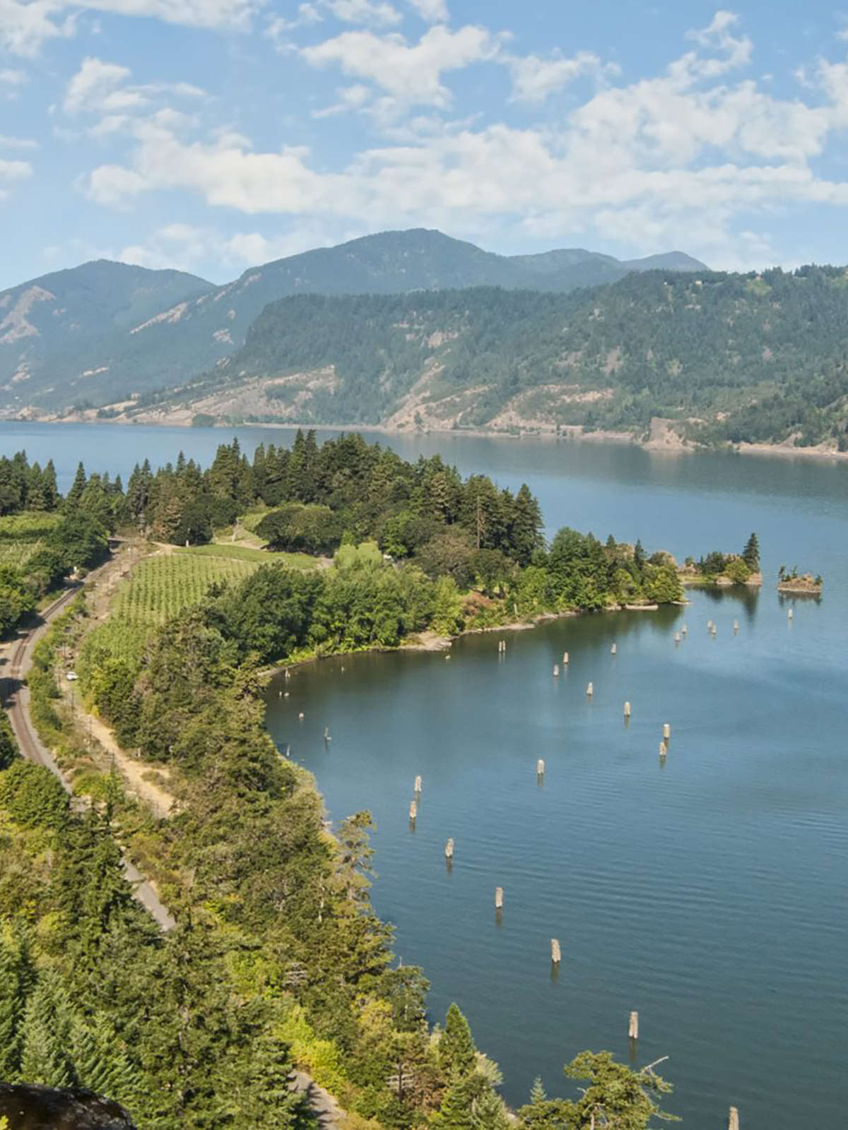 Hotel Red Lion Hotel Columbia Center photo 1