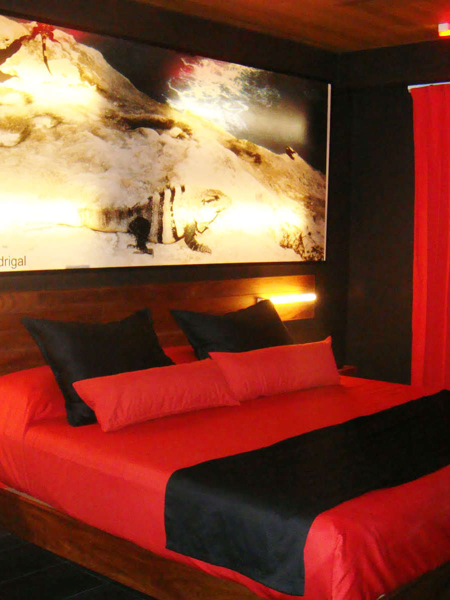 Hotel Reina Roja photo 1