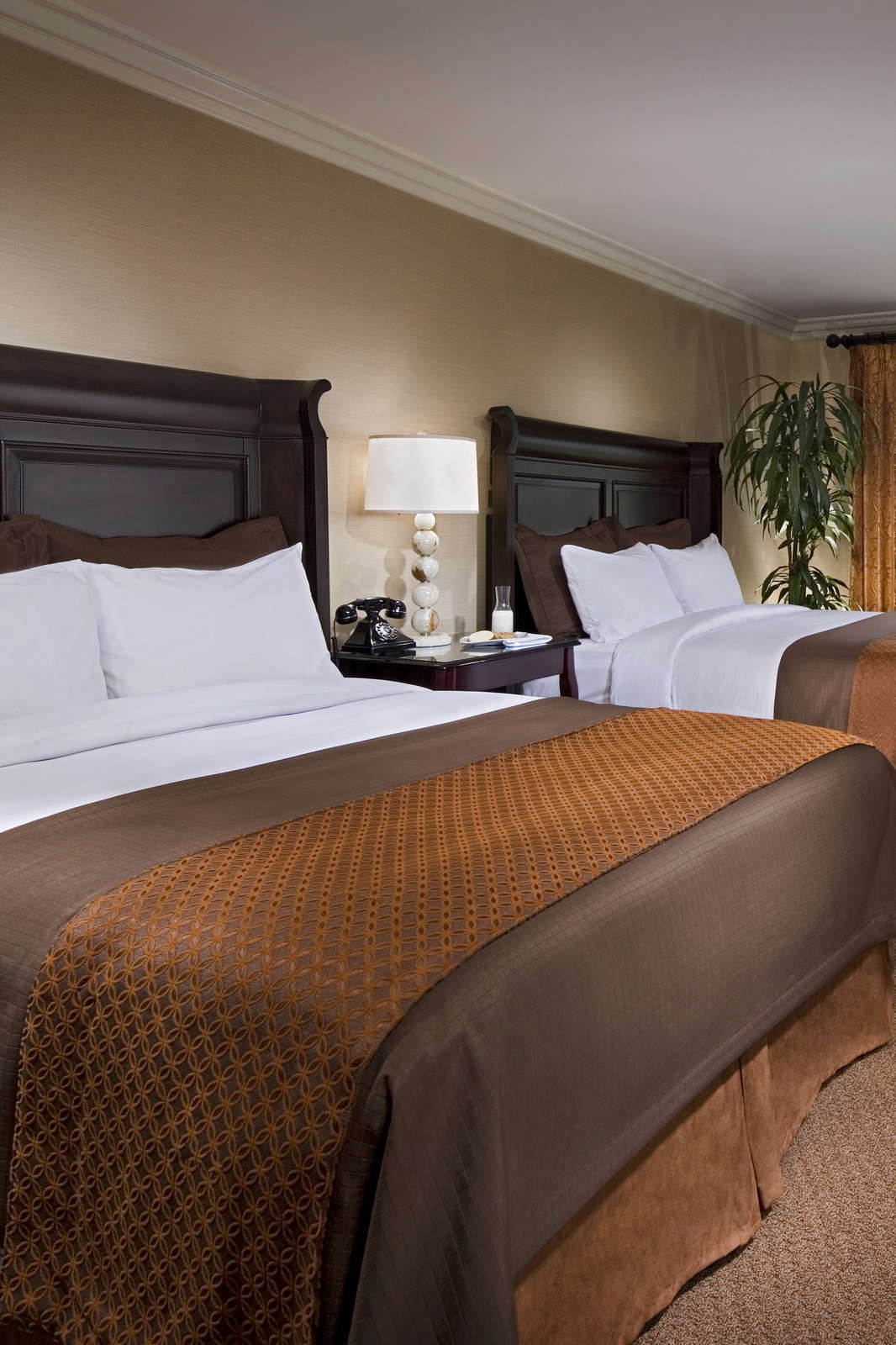 Hotel Ayres Inn & Suites Ontario Mills Mall photo 2