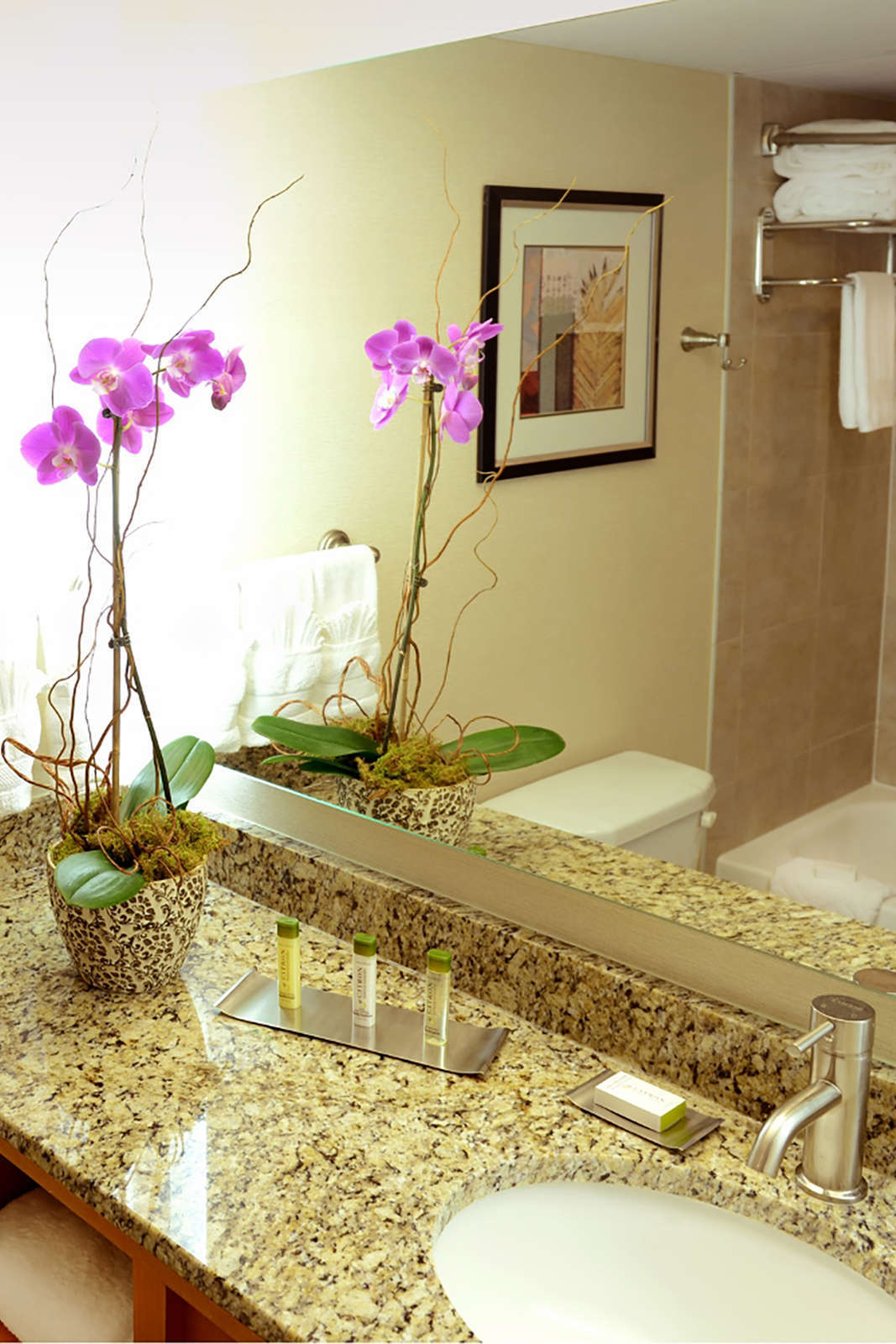 Hotel DoubleTree by Hilton Virginia Beach photo 4