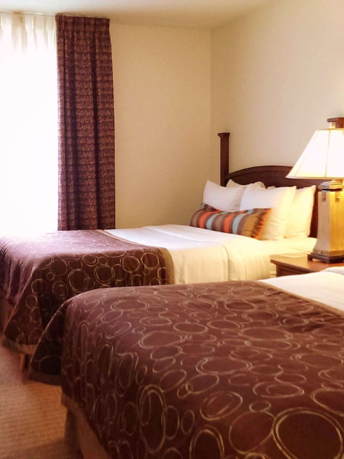 Hotel Staybridge Suites Novi photo 1