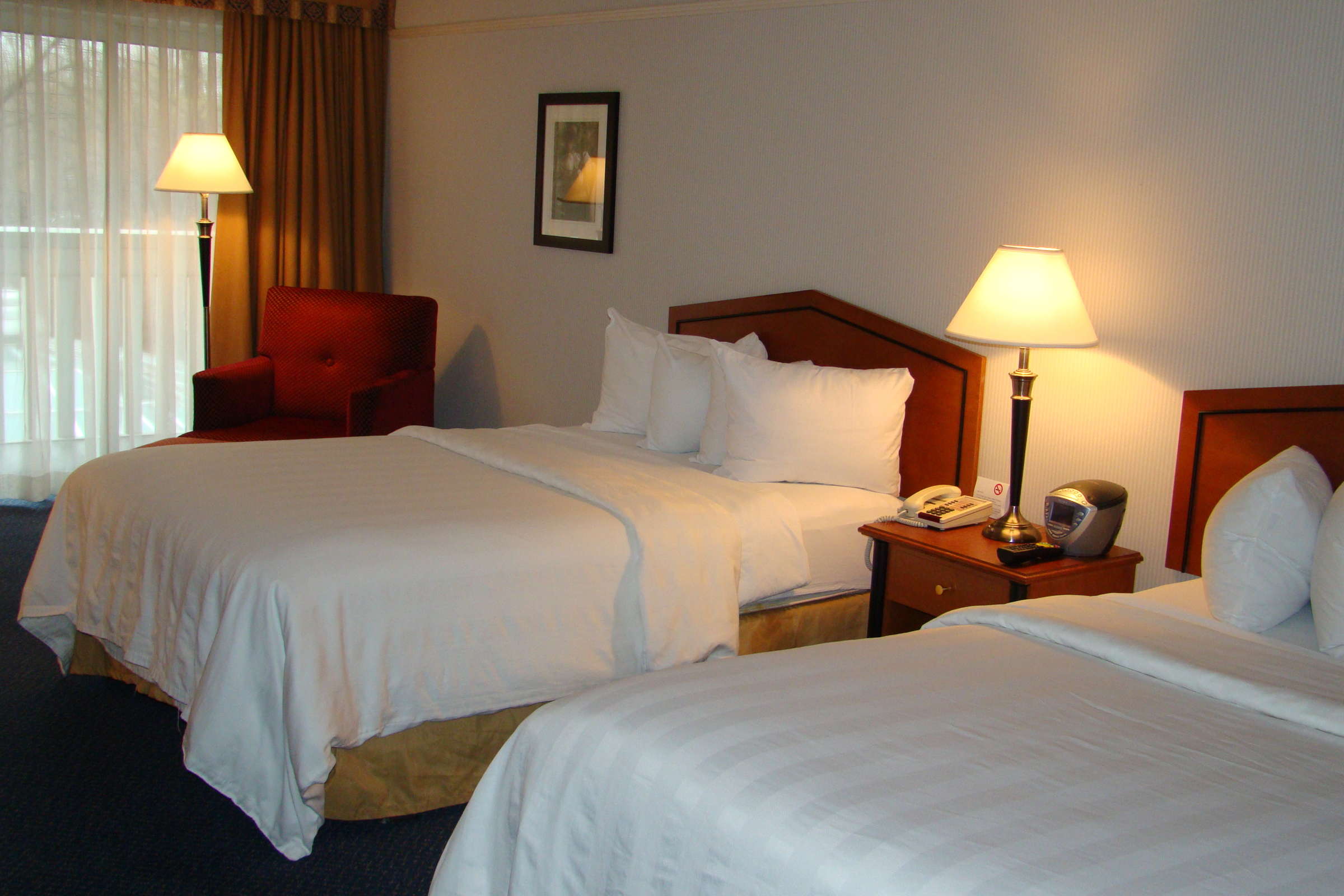 Hotel Toronto Don Valley Hotel & Suites photo 4