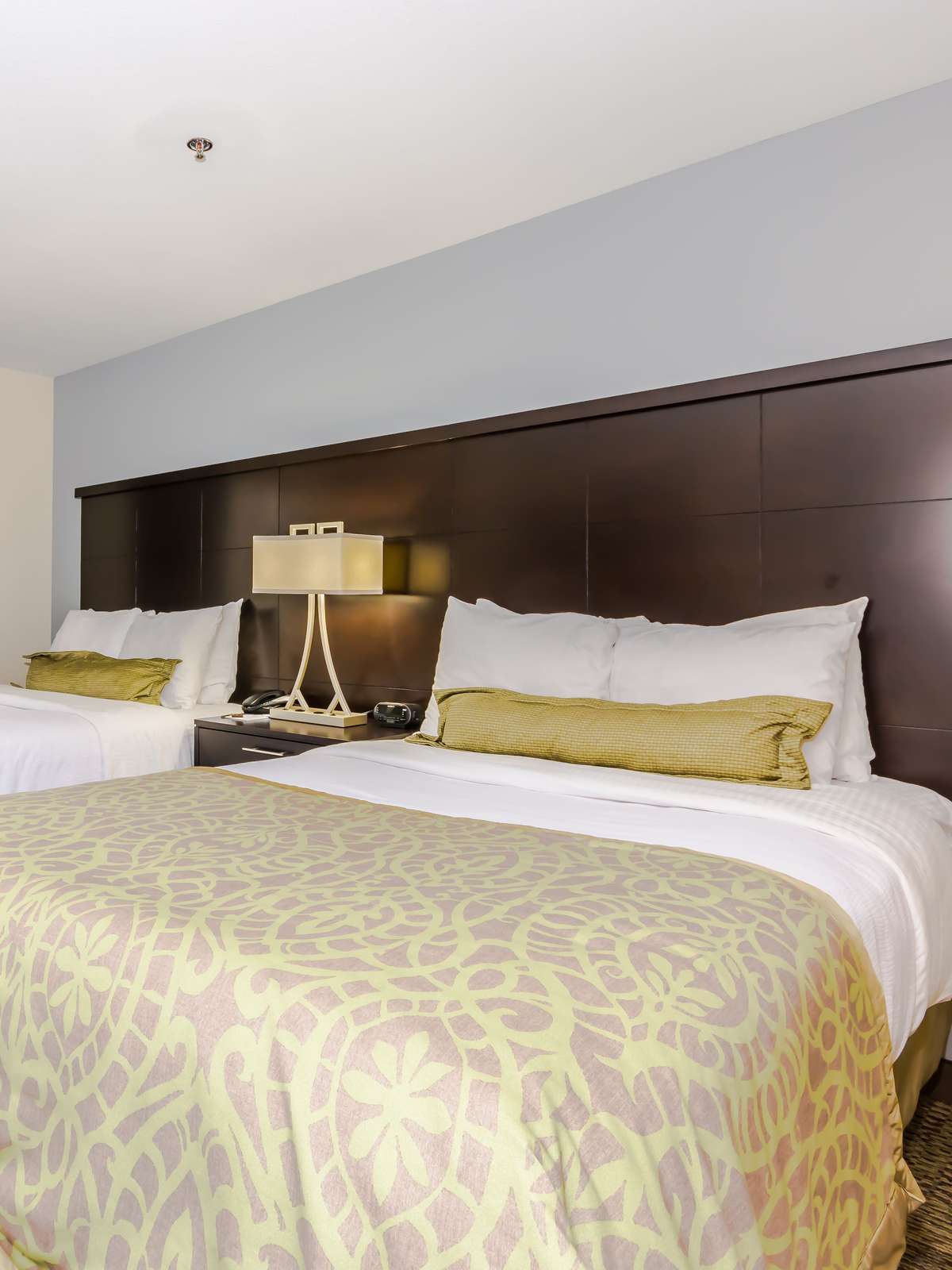 Hotel Staybridge Suites Grand Forks photo 1