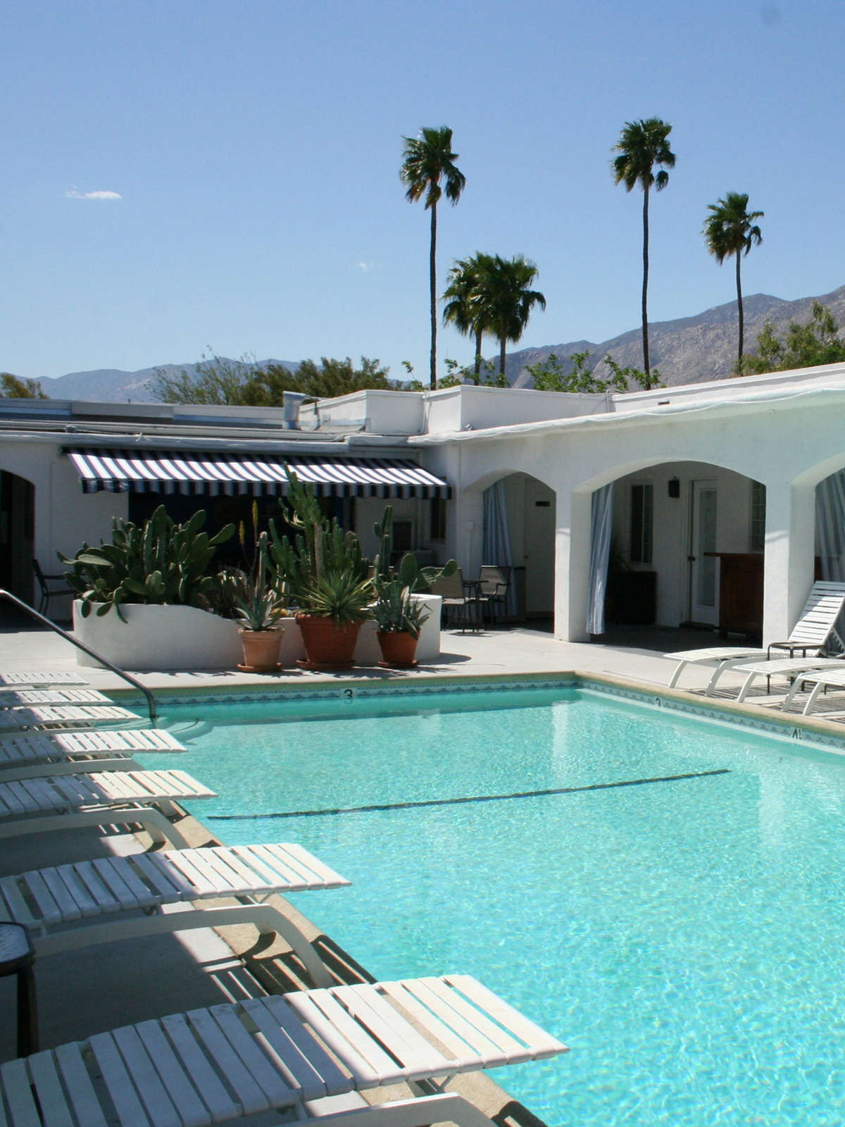 Hotel POSH Palm Springs Inn photo 1