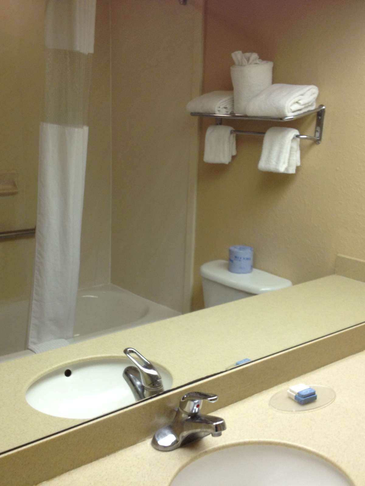 Hotel Best Western Tampa photo 2