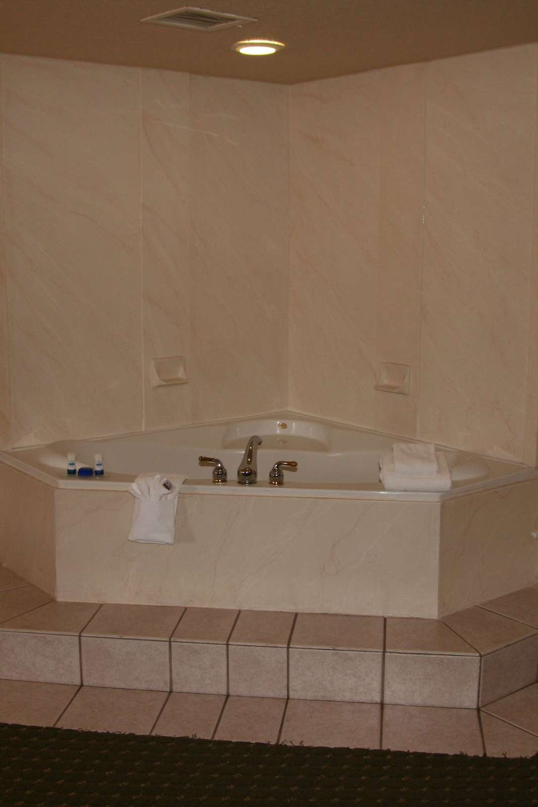 Hotel Best Western Tampa photo 4