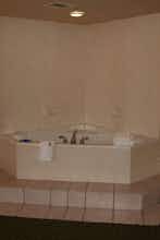 Hotel Best Western Tampa photo 4