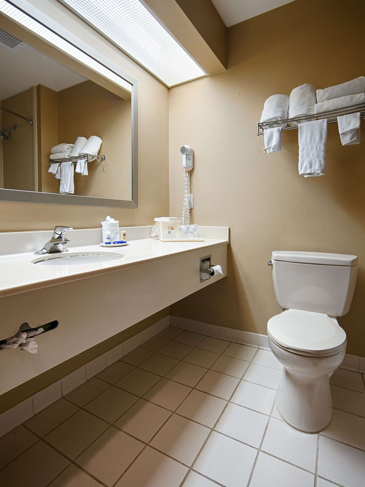 Hotel Best Western Plus McDonough Inn & Suites photo 3