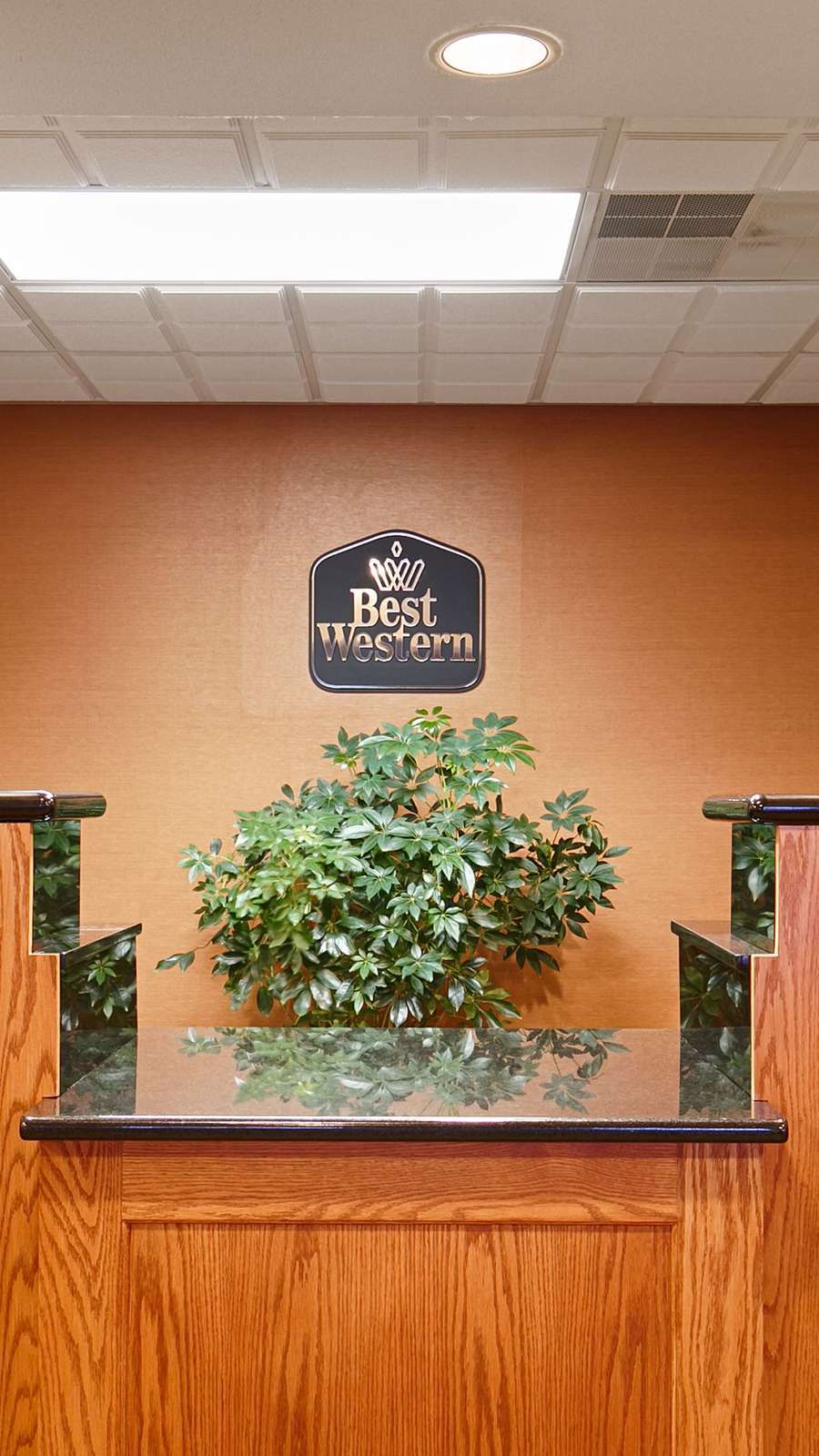 Hotel Best Western Pontiac Inn photo 5