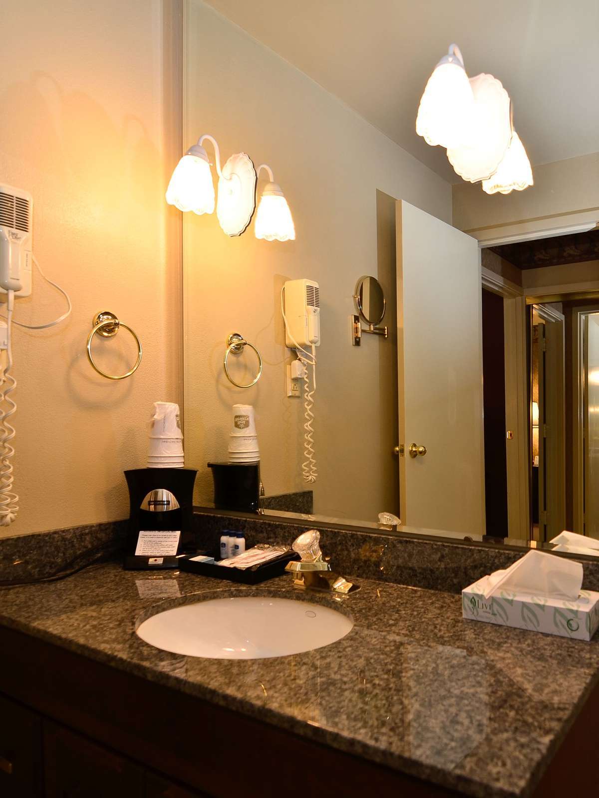 Hotel Best Western Plus Burley Inn & Convention Center photo 3