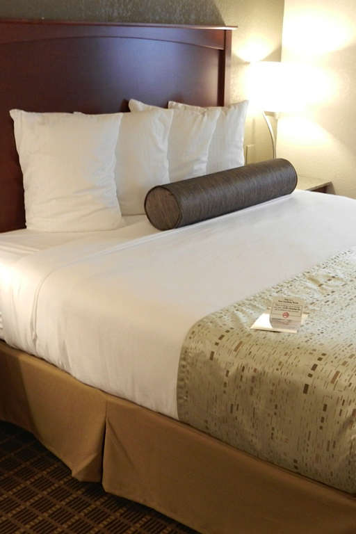 Hotel Best Western Plus Peak Vista Inn & Suites photo 3