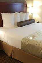 Hotel Best Western Plus Peak Vista Inn & Suites photo 3