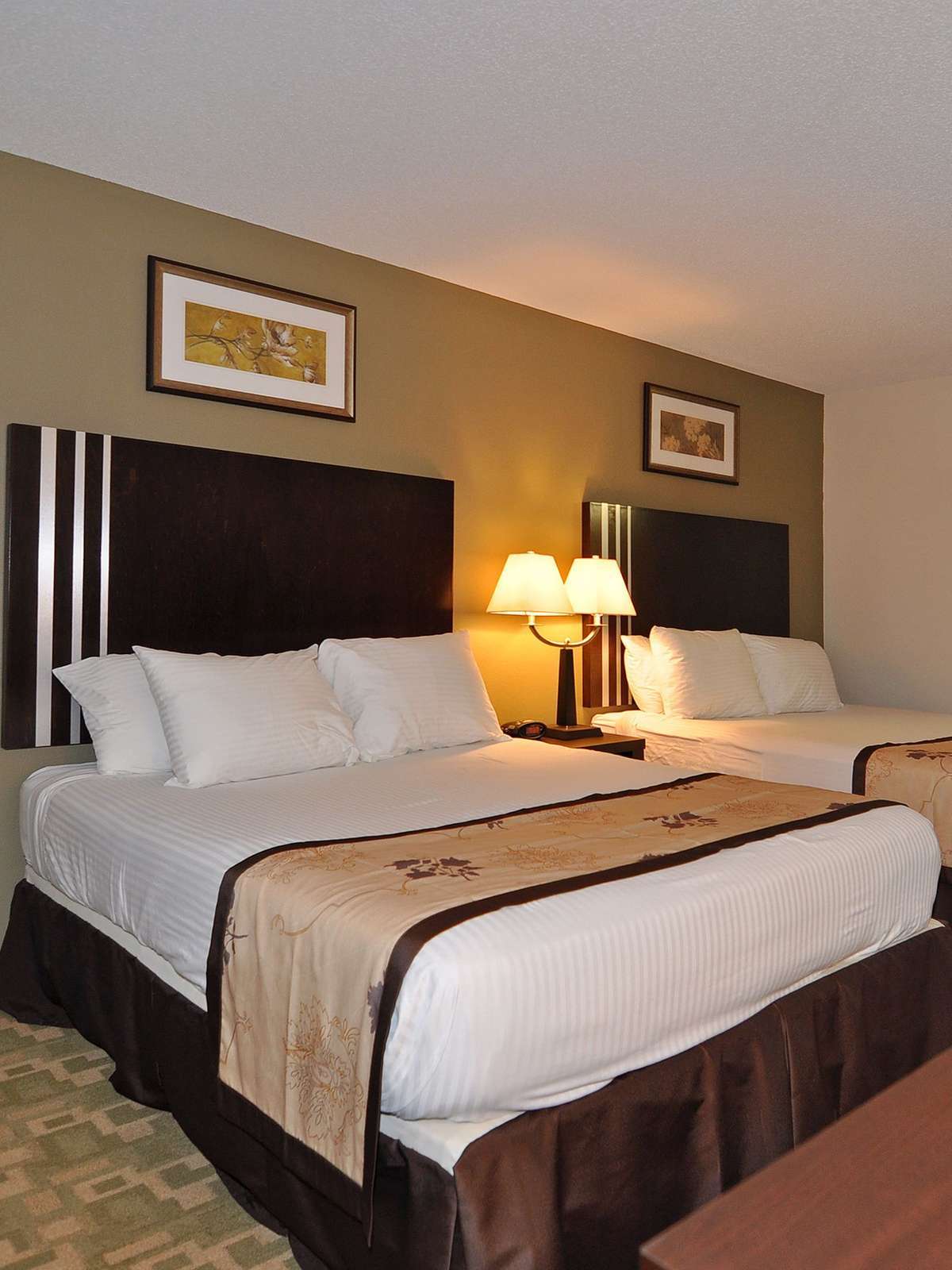 Hotel Best Western Alexandria Inn photo 1