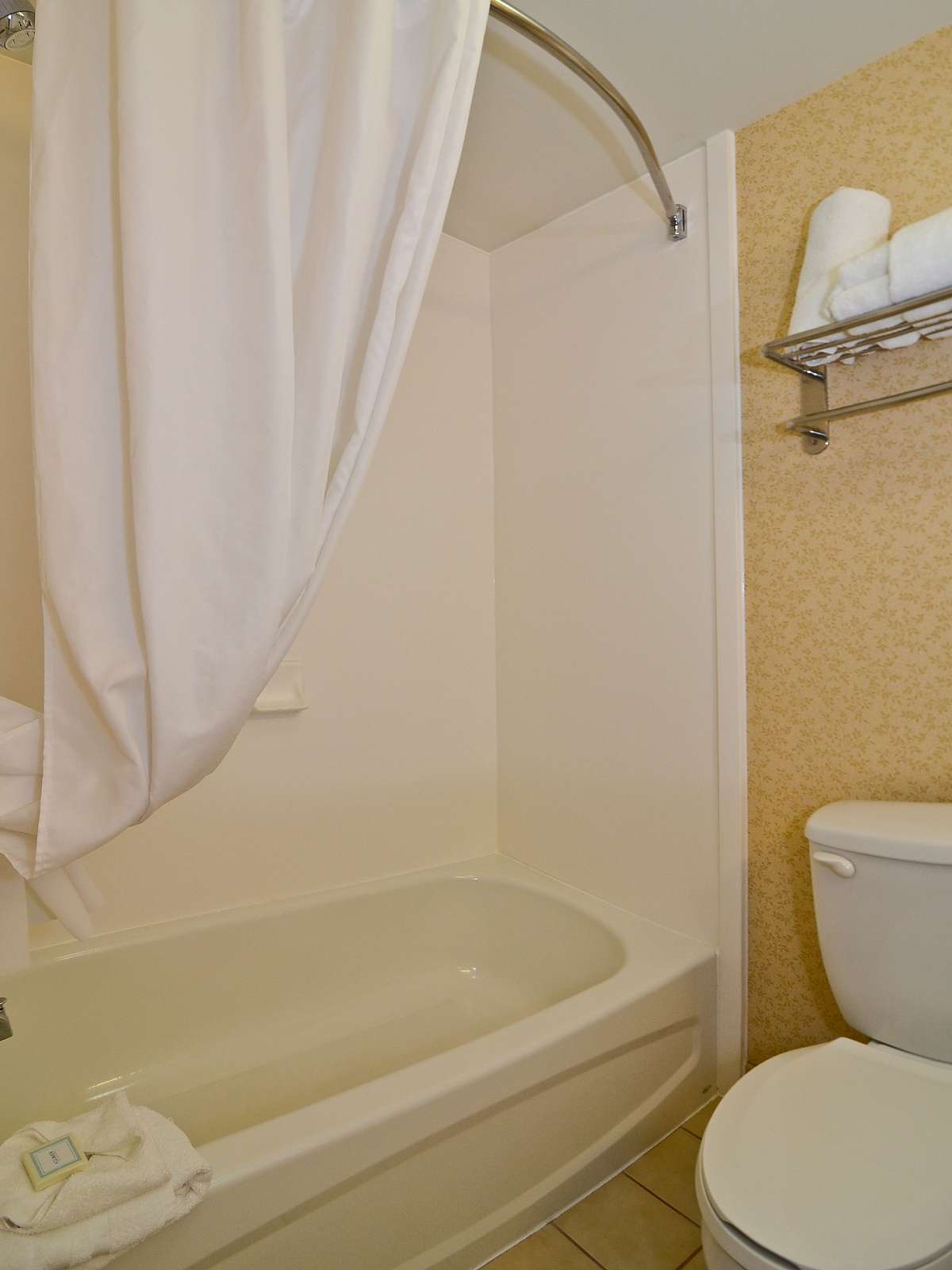 Hotel Best Western Executive Inn & Suites photo 3