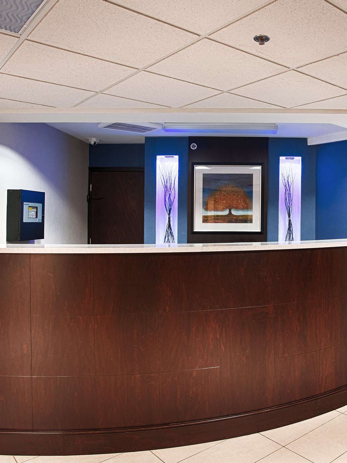 Hotel Best Western Plus Berkshire Hills Inn & Suites photo 3